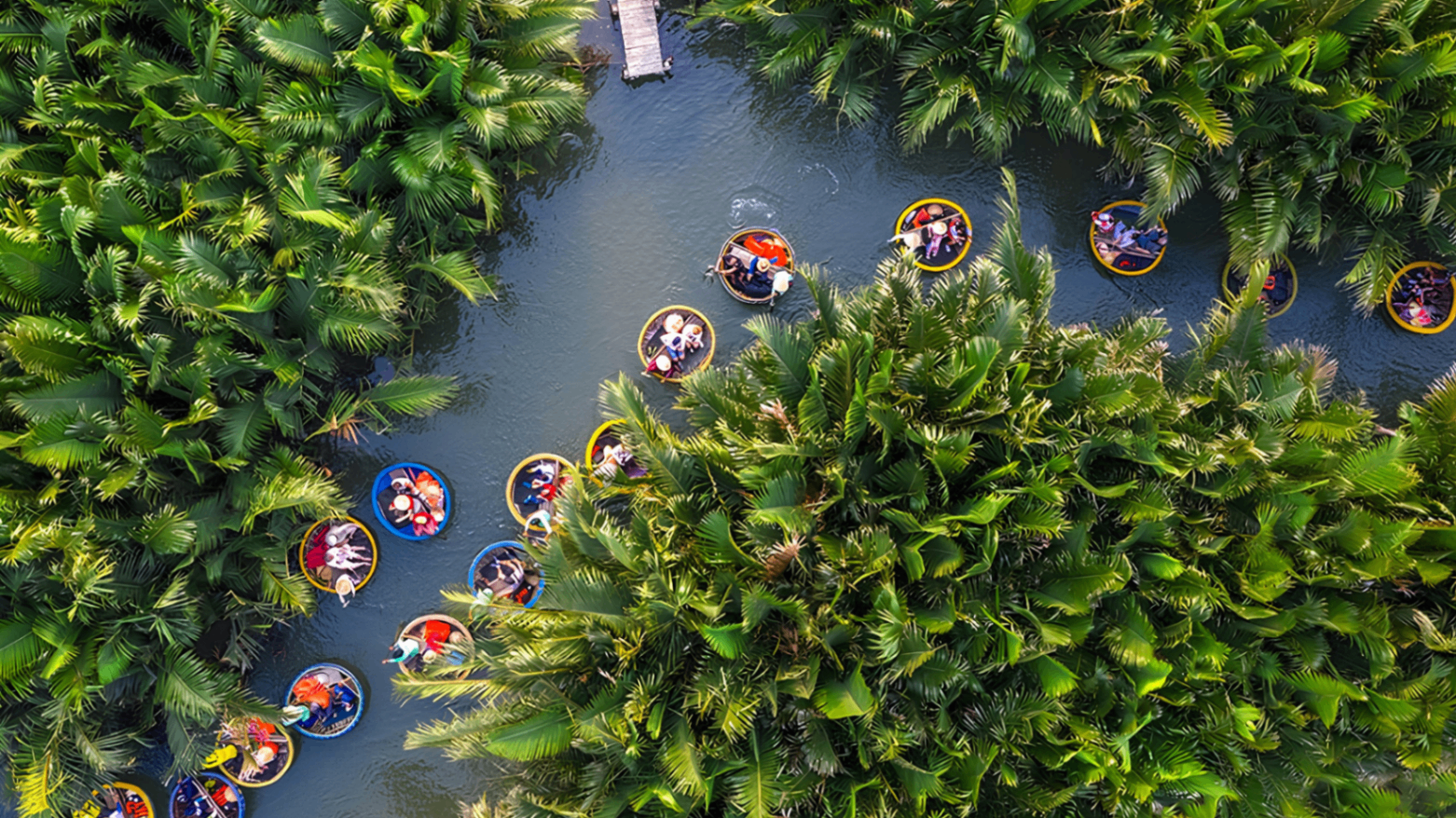 Aerial view of round basket boats winding through palm waterways near Hoi An.